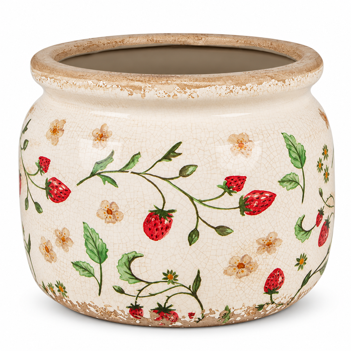 Botanical Strawberry Ceramic Planter