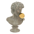 Classic David Bust – Antique Grey
