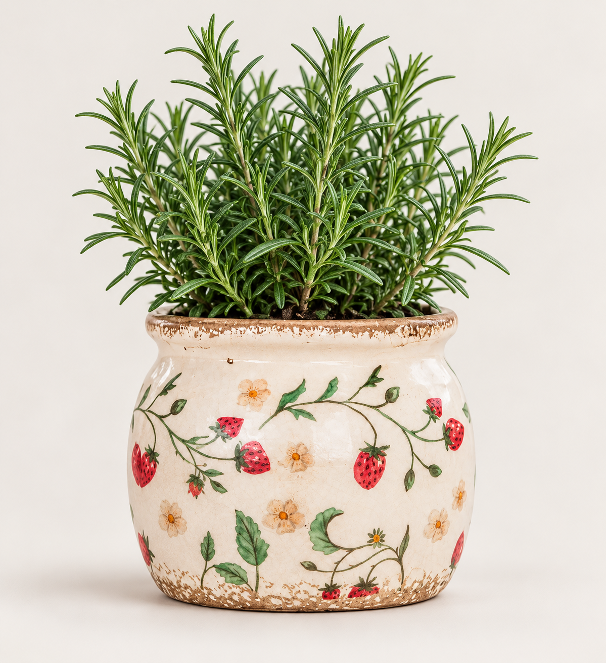 Botanical Strawberry Ceramic Planter – alternative view